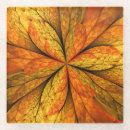 Recherche de plantes dessous de verres Pour elle