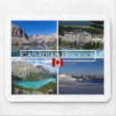 Search for icefields Souvenir