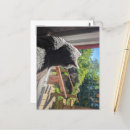 Recherche de abréviations cartes postales Pour tous