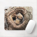 Recherche de écureuil bébé tapis souris Forêt