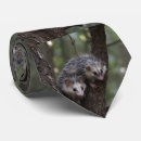 Search for possum ties Wildlife