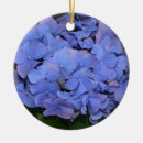 Search for hydrangea ornaments Bloom