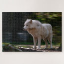 Recherche de portrait gris loups loups gris puzzles Canis lupus