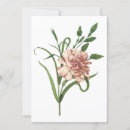 Recherche de oeillet rouge invitations Vintage