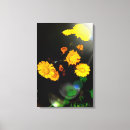 Recherche de floraison impressions sur toile Fleur sauvage