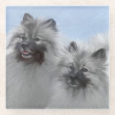 Recherche de spitz dessous de verres Noir