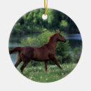 Search for thoroughbred horse ornaments Standing