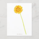 Recherche de gerberas cartes postales Floral