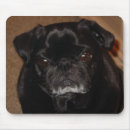 Search for black pug mousepads Dog