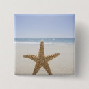 Recherche de massachusetts badges Les etats unis