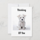 Search for west highland white terrier christmas cards Pet