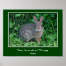 Search for bunny quote posters Inspirational