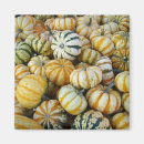 Search for gourd magnets Fall