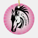 Recherche de cheval de mustang ornements Poney