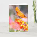 Search for name mothers day cards Butterfly