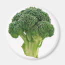 Recherche de brocoli magnets Vert