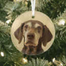 Search for pointer dog ornaments Canine