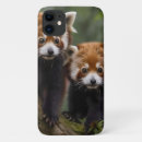 Search for red bear iphone cases Panda