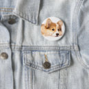 Search for cutest buttons Pet