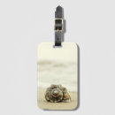 Search for selection accessories Seashell