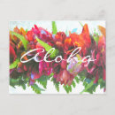 Recherche de fleur de leu Aloha