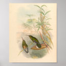 Search for hummingbird art Wall