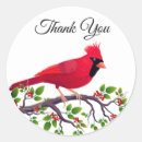Search for red cardinal bird stickers Autumn