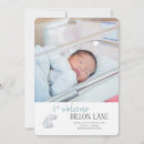 Search for easter birth announcement cards Bunny