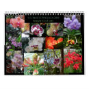 Search for tropical flowers calendars Botanical
