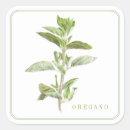 Search for oregano stickers Botanical