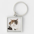 Search for calico keychains Animals