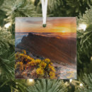 Search for spain ornaments Nature