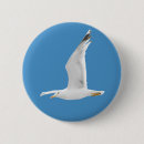 Recherche de mouettes badges Liberté
