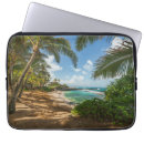 Recherche de criqué coques Plage