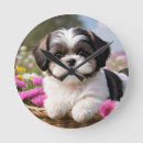 Recherche de tzu posters Petit