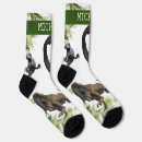 Recherche de dinosaure vêtements Nom