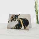 Recherche de endormi vœux cartes Amoureux des chats