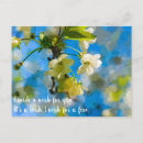 Search for artsy postcards Flower