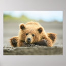 Search for coastal posters Alaska