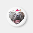 Recherche de personne de chien magnets Amoureux de les chiens