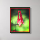 Search for red flower canvas prints Floral