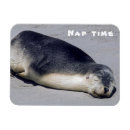 Recherche de dormant magnets Amusant