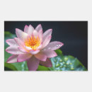 Search for up close stickers Colourful