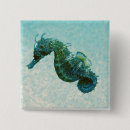 Recherche de hippocampe badges Mer