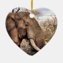 Search for wildlife ornaments Elephants