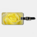 Search for rose macro accessories Photography