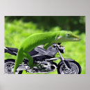 Recherche de geckos posters Gecko vert