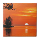 Search for light reflection tiles Nature