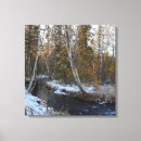 Recherche de bouleau photographie Neige