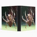 Search for spiders binders Arachnids